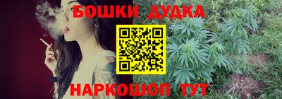 гидра Лесосибирск