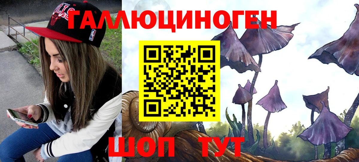 Псилоцибиновые грибы ЛСД Гусиноозёрск